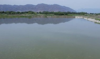 په ‎لغمان  کې د نږدې ۲۰۰ زرو امریکايي ډالرو په لګښت د کبانو د روزنې او تولید ۴۰ فارمونو جوړلو چارې پیل سوې.