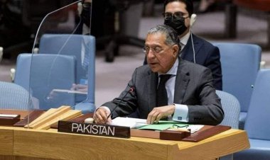 ملګرو ملتونو کې د پاکستان استازي د خپلو خبرو په تړاو له افغانانو بښنه وغوښته