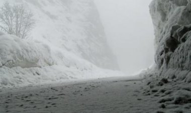 په ګورنو بدخشان کې د واورو ښویدو له کبله ۱۹ تنه مړه سوي