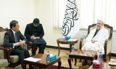 د ریاست‌الوزرا اداري مرستیال مولوي عبدالسلام حنفي په کابل کې د جاپان له سفیر تاکاشي اوکادا سره لېدلي.