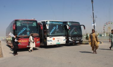 هلمند کي  په لومړي ځل ځانګړي مسافر وړونکو موټرو په فعالیت پیل وکړ.