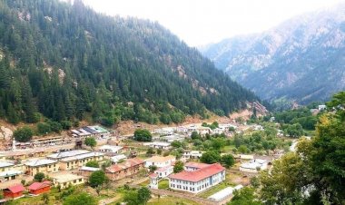 ‏د افغانستان لپاره د سویډن کمېټې وايي، په نورستان کې درې روغتیايي مرکزونه او ۱۵ کورنۍ روغتیايي ځالې جوړوي.