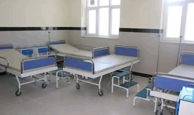 په اروزګان کې د روغتیا نړیوال سازمان په مالي مرسته لس روغتیايي مرکزونه پرانستل سوي دي.