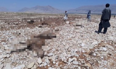 په سمنګان ولایت کې د سېلابونو د راوتلو له امله ۱۰۷۰ څاروي تلف سوي دي.