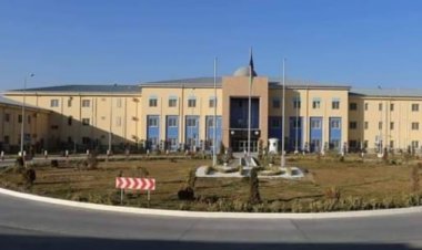 کورنيو چارو وزارت وايي، هيچا ته د کوکنارو د کښت او قاچاق اجازه نه ورکوو