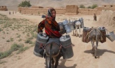 په کندهار کې یو شمیر مېشت کوچیان وايي، چې اوچکالۍ سخت ځپلي .