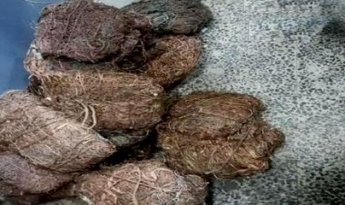 تورخم کې د لسګونه کیلوګرامه مسو د قاچاق مخه نیول سوې ده