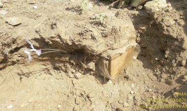 تېرو شپږو میاشتو کې د ناچاوده توکو له امله ۹۰ تنه مړه سوي