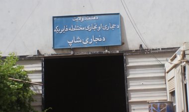 د هلمند حجاري او نجاري دولتي شرکت د فعالیت چاري چټکي سوې دي.