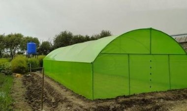 د ازبکستان د ټرانسپورټ وزیر الهام محکوموف افغانستان ته د سفر په ترڅ کې، د ننګرهار د ځايي چارواکو په ملتیا له تورخم بندر څخه لیدنه کړې ده.