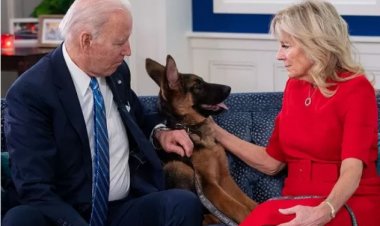 د بایډن سپي ۱۱ ځله د سپینې ماڼۍ کارمنان داړلي