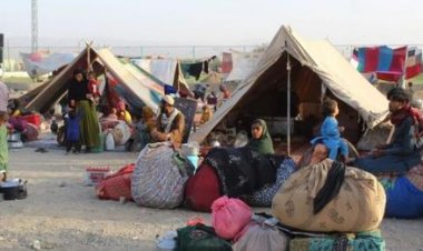 پاکستان: د غیرقانوني کډوالو (ډي‌اېن‌ای) ټسټ کېږي