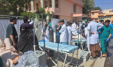 په افغانستان کې د روغتیا نړیوال سازمان دفتر نن د هرات ولایت یو شمېر روغتونونو ته د زلزله ځپلو د درملنې په موخه د درملو او طبي توکو د استولو خبر ورکړی.