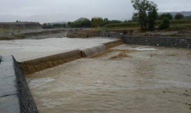 ننګرهار کي ۱۸ پروږي ګټي اخیستني ته وسپارل سوي !