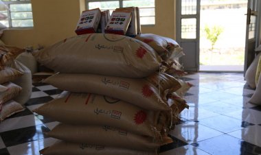 هرات کې پر ۲۰ زره بزګرانو د سبو تخمونه وېشل سوي دي