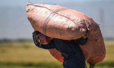 هلمند مرکز لښکرګاه ښارکې د کارګرو ماشومانو شمېر زیات سوی دی .