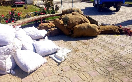 هلمند کي د قاچاق مخه ونیول سول.