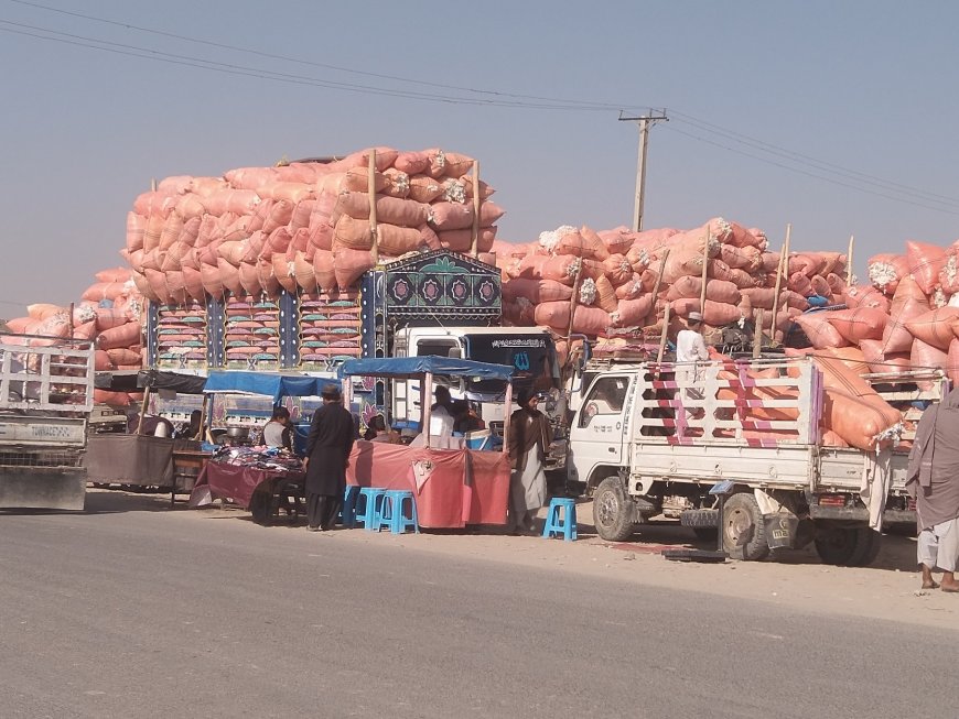 له پاکستان سره دلارو بندېدو له امله هلمند کې د کروندګرود پنبې حاصلات زیانمن سوي